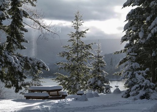 冬天 季节 寒冷 雪 冰冷的 景观 景观(winter season cold