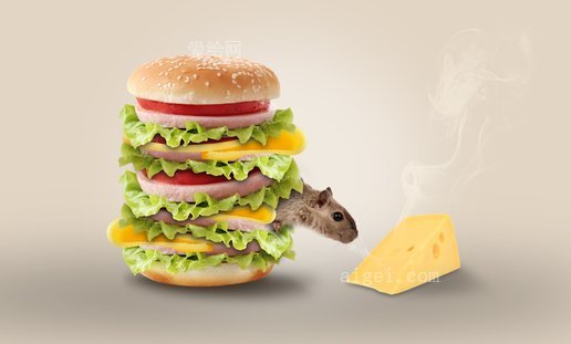 奶酪老鼠汉堡搞笑(cheese-mouse-hamburger-funny)