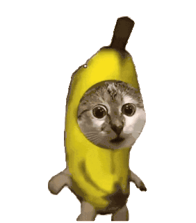 网红抽象猫猫meme表情包动图 GIF动图 免费下载 - 爱给网