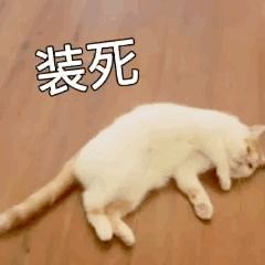 装死 GIF动图 免费下载 - 爱给网