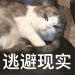避孕套 GIF动图 免费下载 - 爱给网
