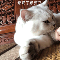烦死了 GIF动图 免费下载 - 爱给网
